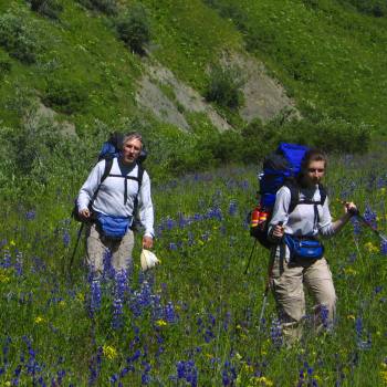 Alpine meadow on Pyramid Peak route, Wrangell St. Elias National Park , Alaska