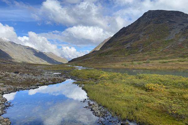 Finding the Perfect Alaska Hiking Trip for You Alaska Backpacking Trip