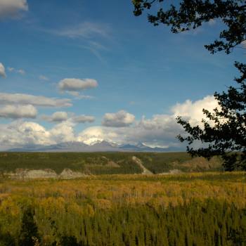 Mt wrangell plateau-1 backpacking Trip.