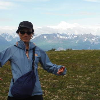 Kesugi Ridge with Denali in view, Denali State Park, Alaska