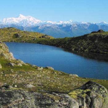 view of Denali peak Alaska Range, Denali State Park, Alaska