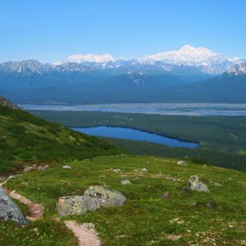 view of Alaska Range from Kesugi Ridge, Denali Alaska