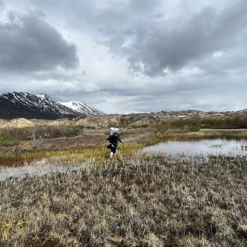 Hiker at Fan Glacier, Wrangell St. Elias National Park, Alaska