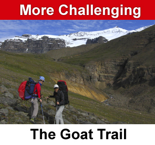 Goat Trail (Skolai Pass to Wolverine) Alaska Hiking Trip