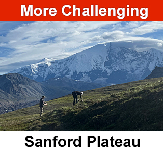Sanford Plateau Alaska Hiking Trip