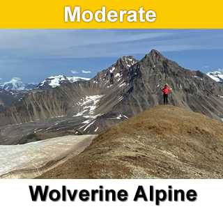 Wolverine Mt. Alpine Alaska Hiking Trip